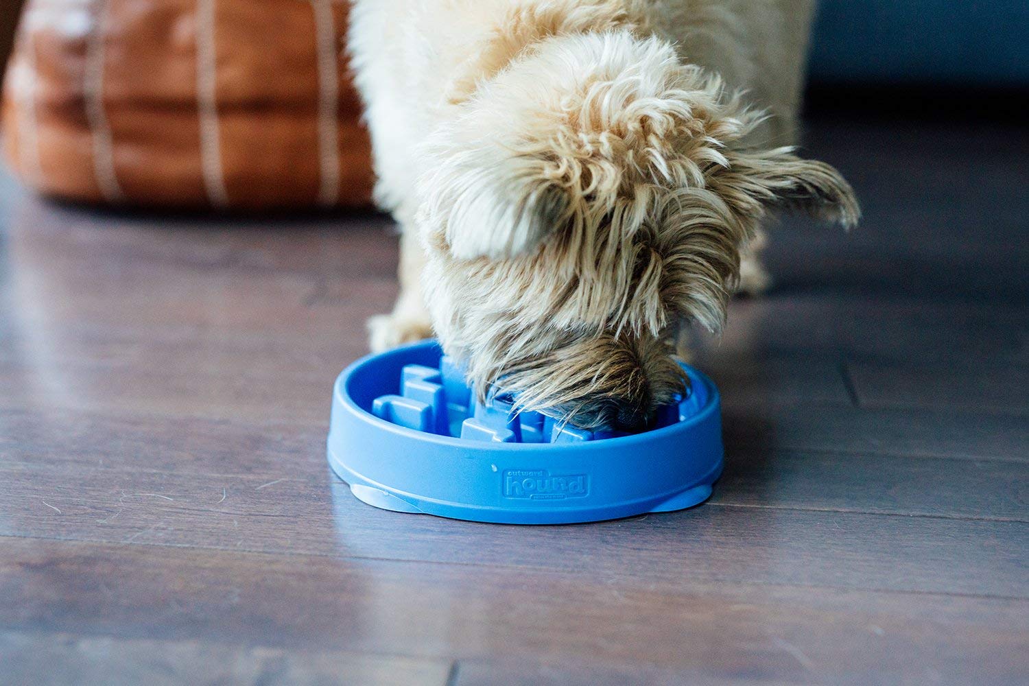 Outward Hound Fun Feeder Slo-Bowl Slow Feeding Dog Bowl - Blue - Medium/Mini  