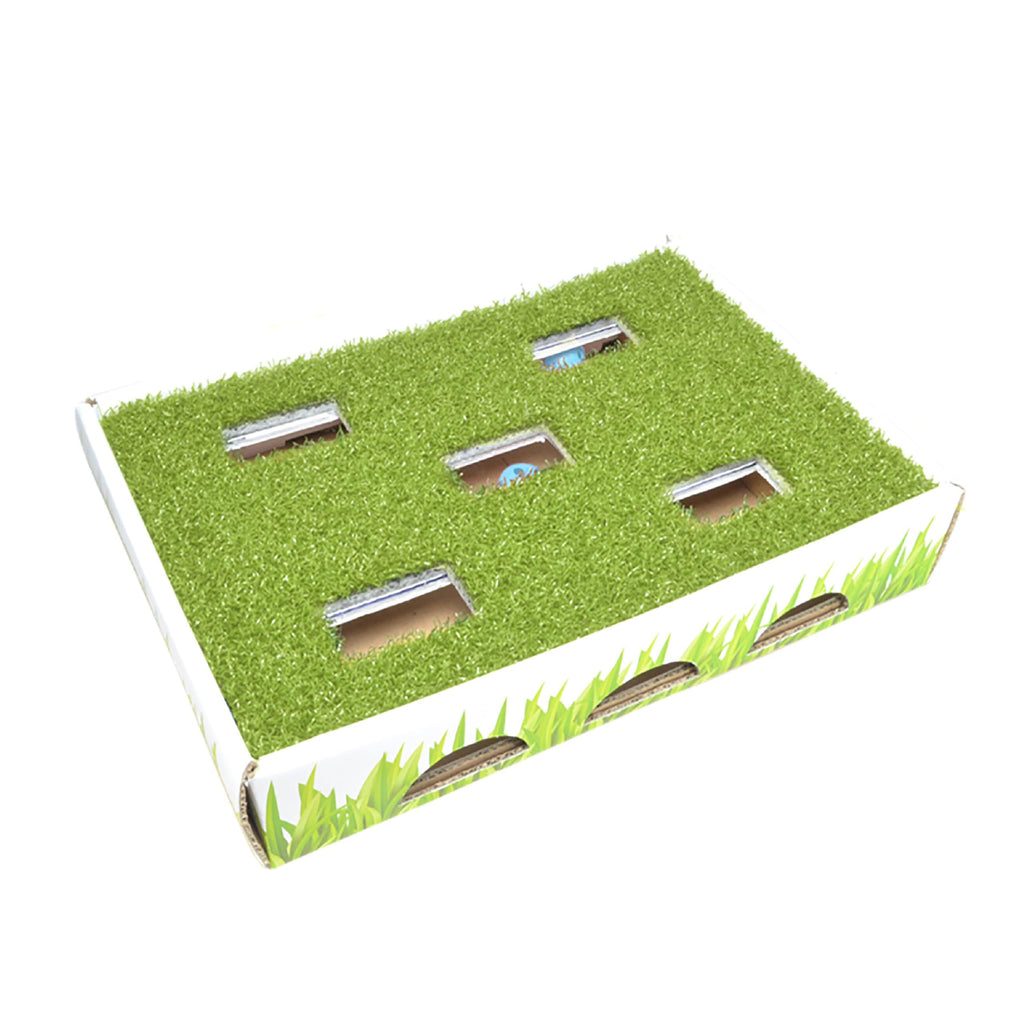 Petstages Grass Patch Hunting Box Interactive Puzzle Cat Toy and Scratcher  