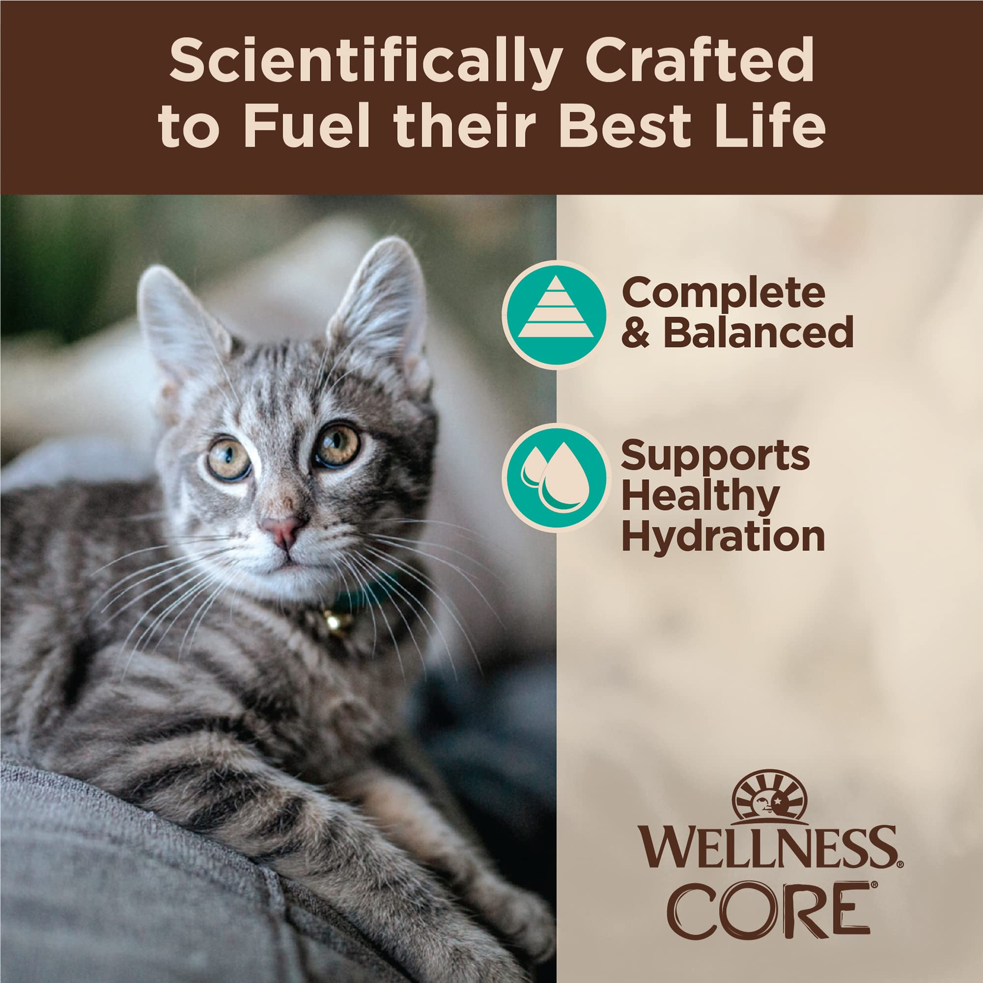 Wellness Core Tiny Tasters Grain-Free Flaked Tuna and Salmon in Broth Wet Cat Food Pouch - 1.75 Oz - Case of 12  