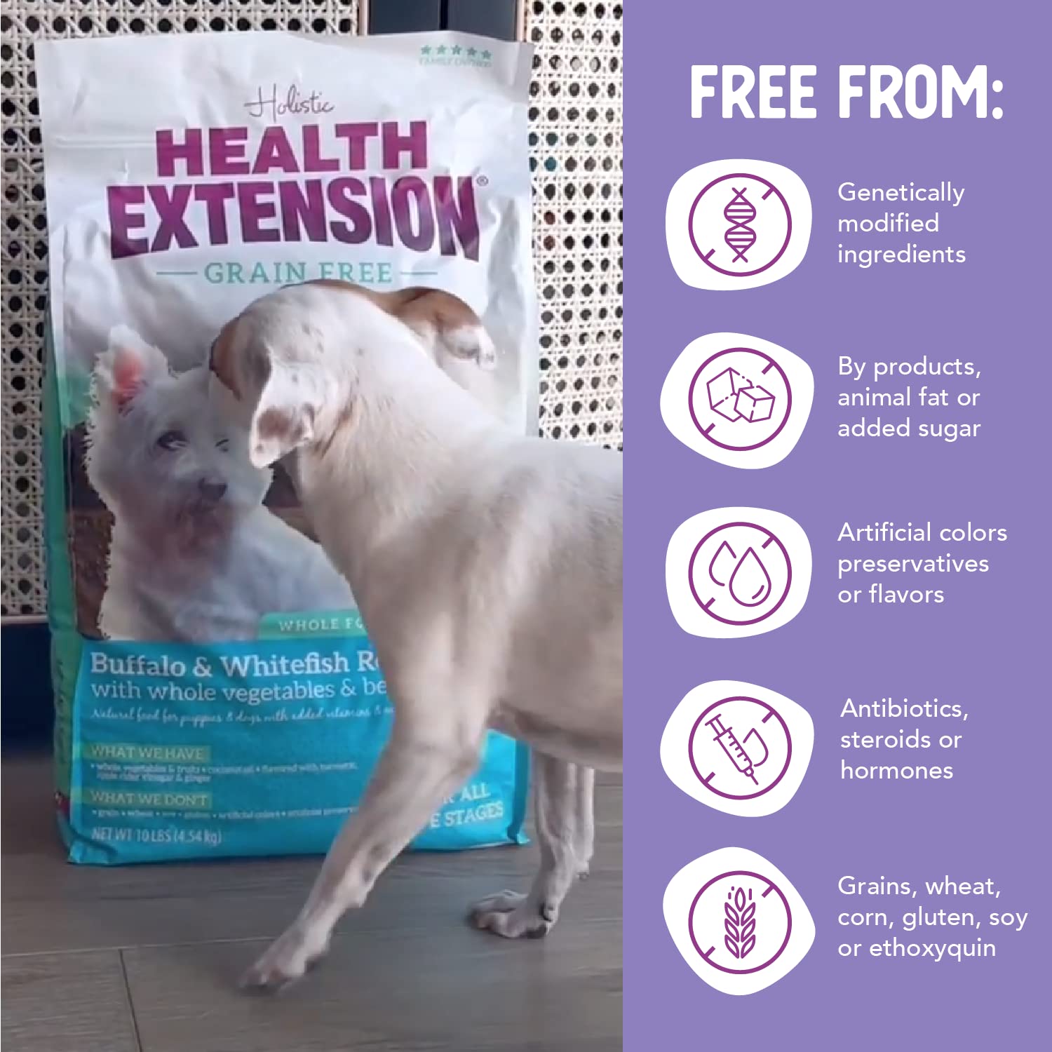 Health Extension Grain-Free Little Bites Buffalo and Whitefish Dry Dog Food - 3.5 Lbs  