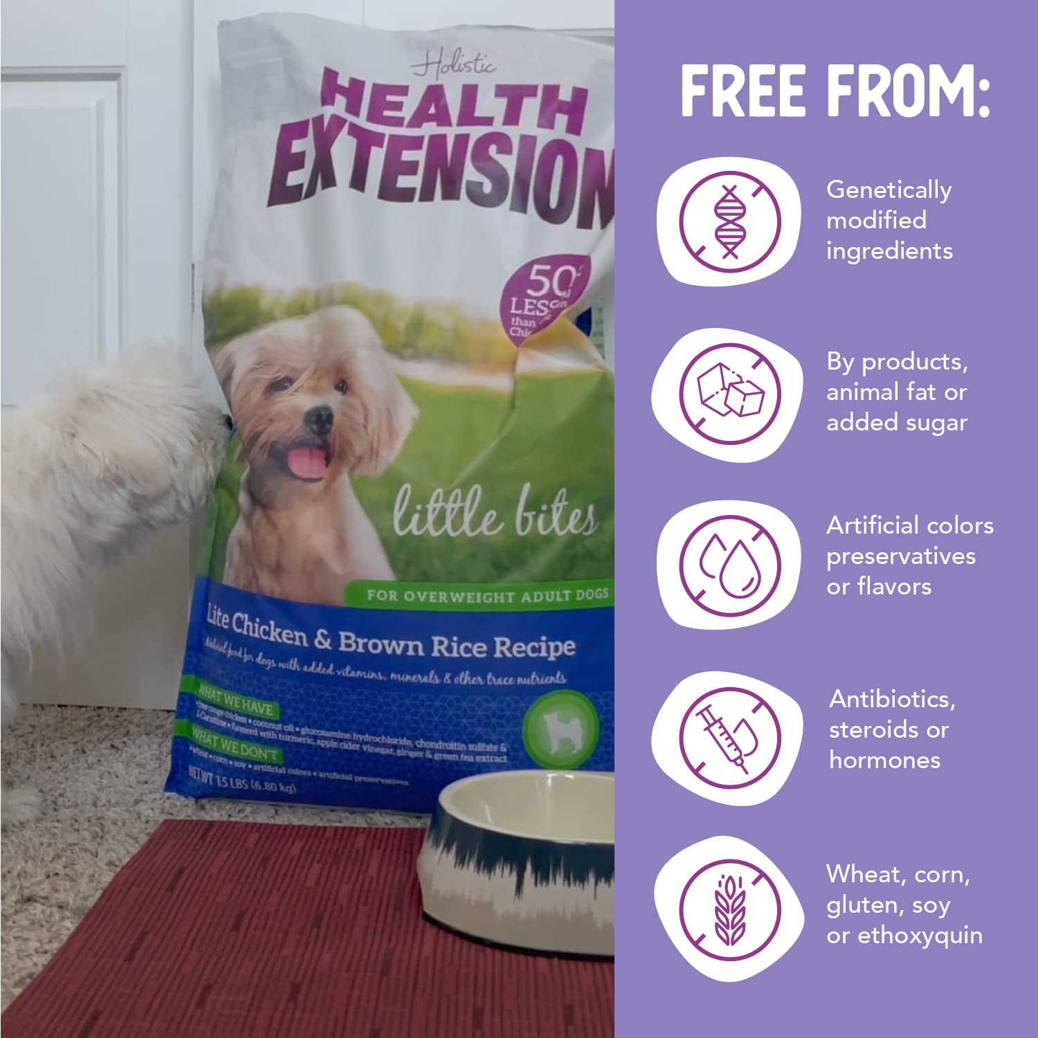 Health Extension Chicken and Brown Rice Weight Management Dry Dog Food - 4 Lbs  