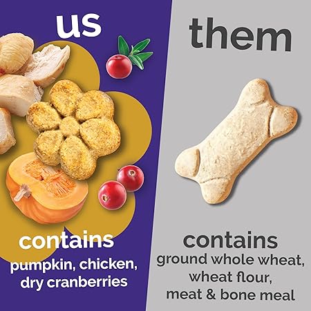 Fruitables Baked Chicken Cranberry and Pumpkin Soft and Chewy Dog Treats - 12 Oz