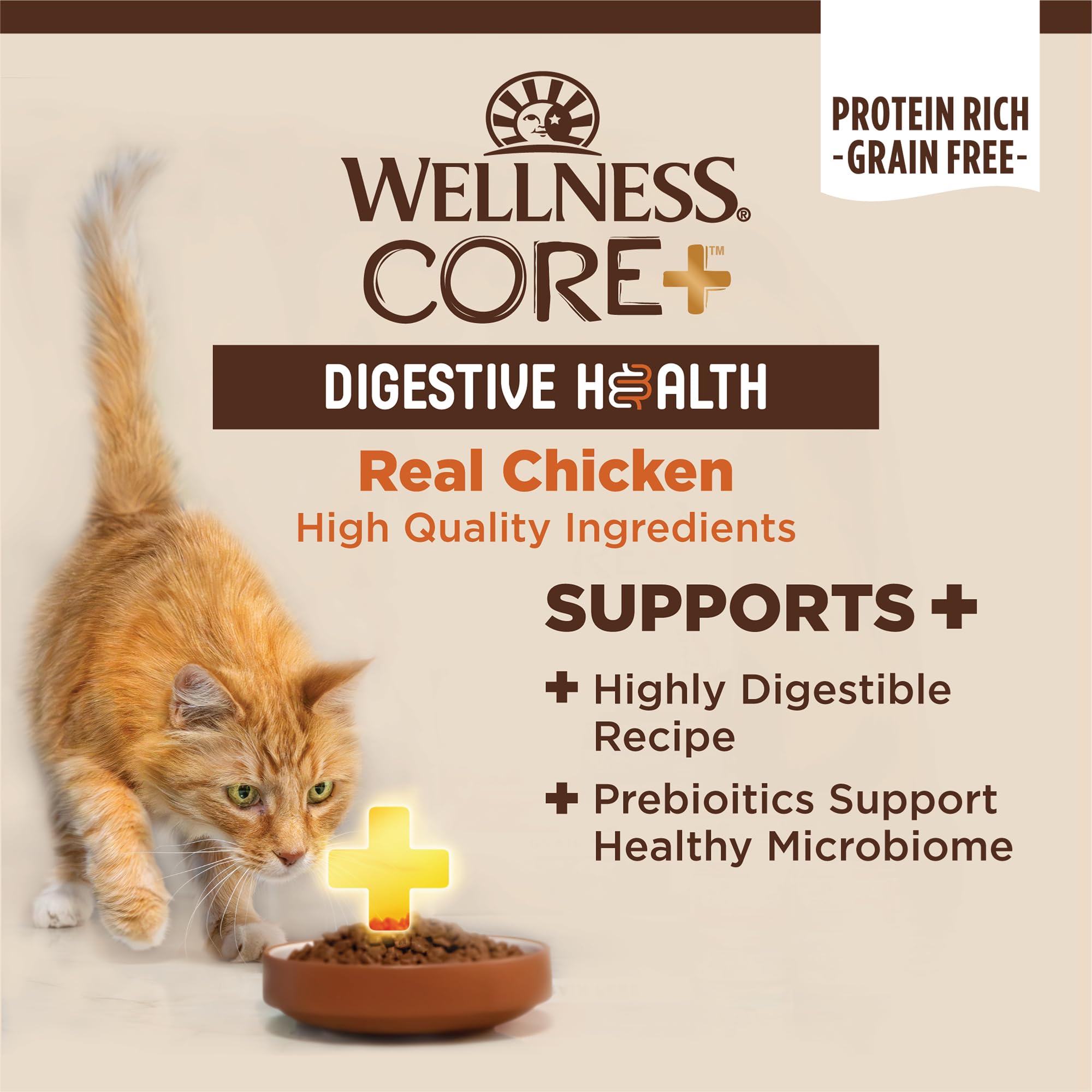 Wellness Core Digestive Health Grain-Free Chicken Pate Canned Cat Food - 3 Oz - Case of 12  