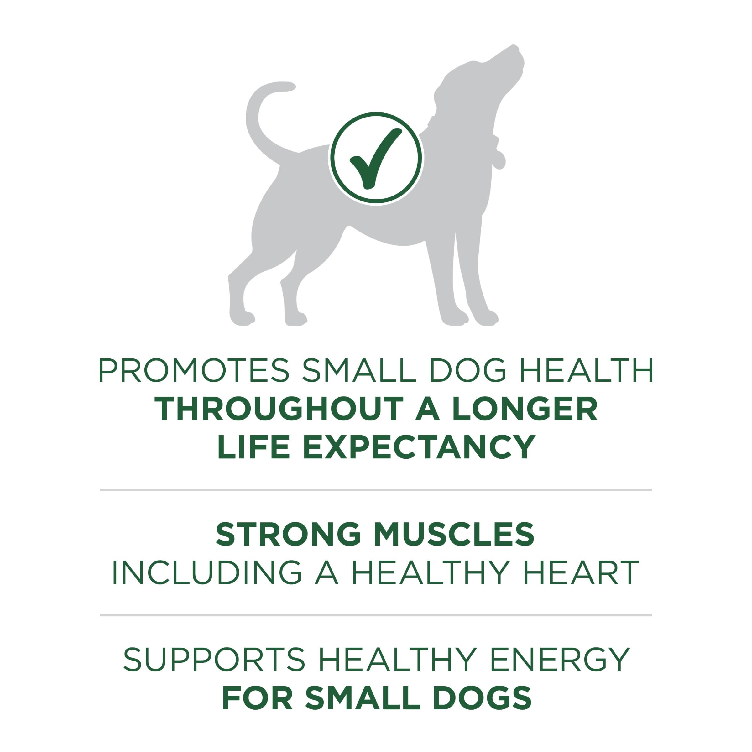 Purina One + Plus SmartBlend Heart Muscle and Energy Support Small-Breed Lamb and Rice Dry Dog Food - 7.4 Lbs - Case of 4  