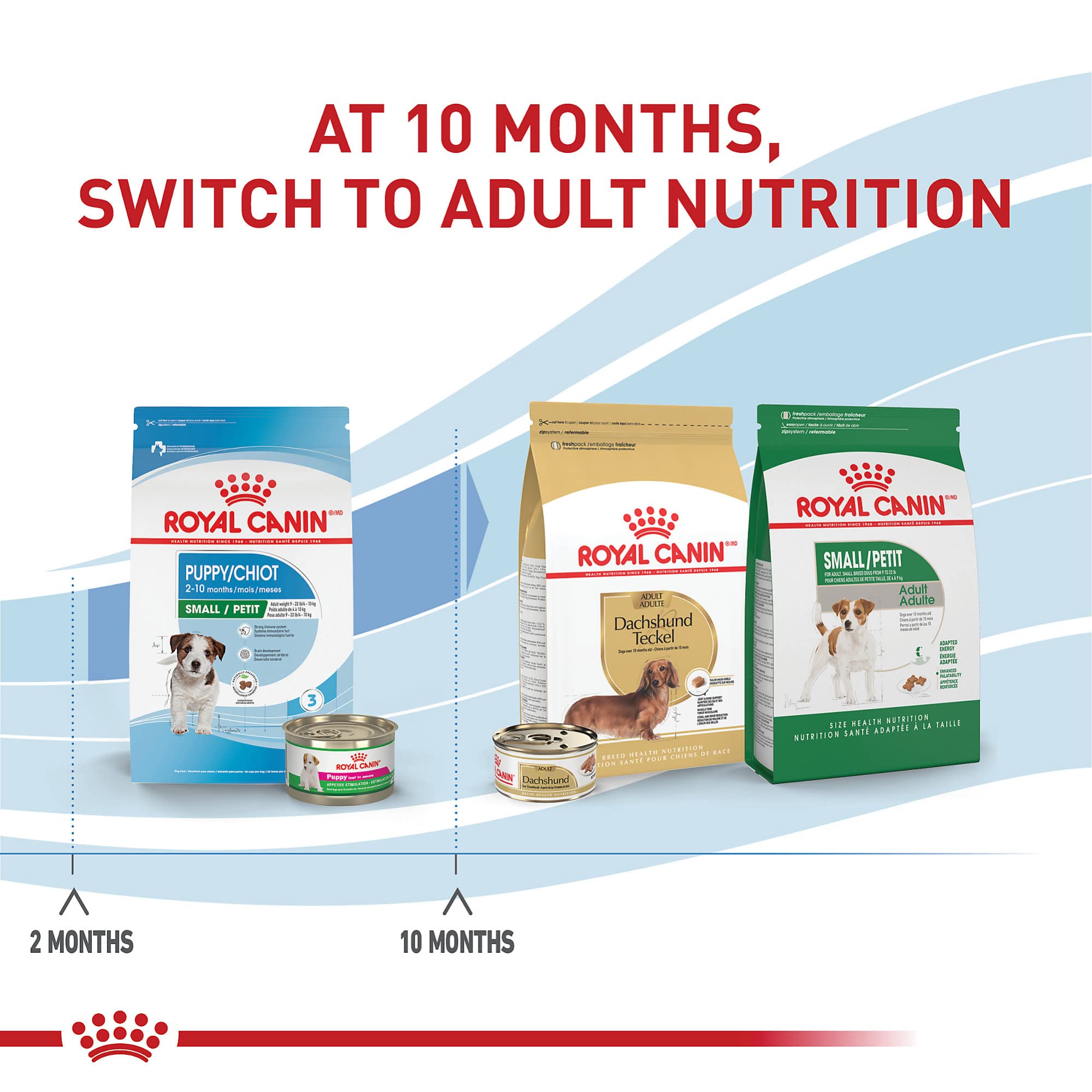 Royal Canin Breed Health Nutrition Bulldog Puppy Dry Dog Food - 6 Lbs  