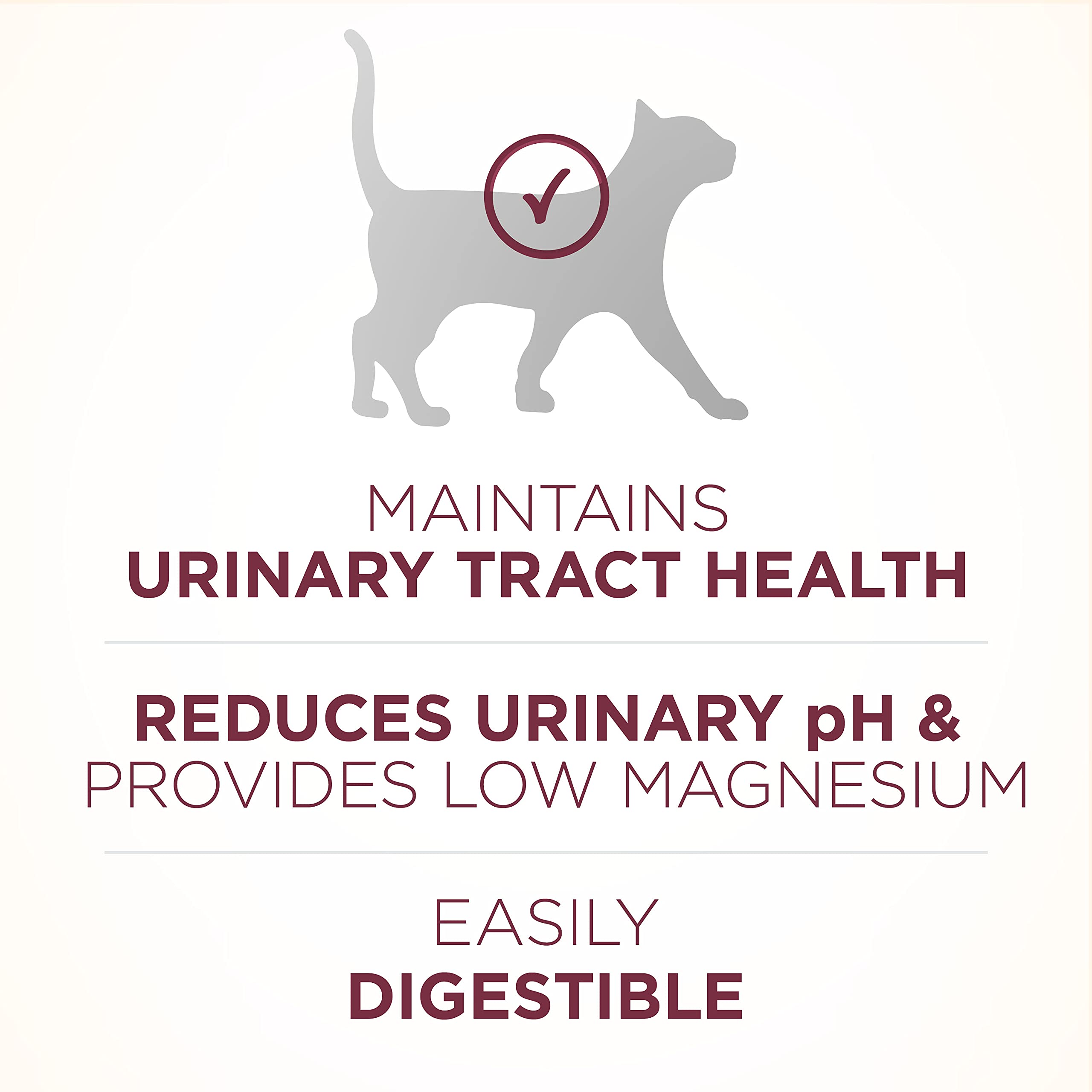 Purina One + Plus Urinary Tract Health Chicken Dry Cat Food - 7 Lbs - Case of 4  