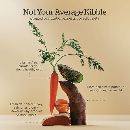 Petcurean Now Fresh Grain-Free Red Meat Lamb and Pork Adult All-Breed Dry Dog Food - 22 Lbs