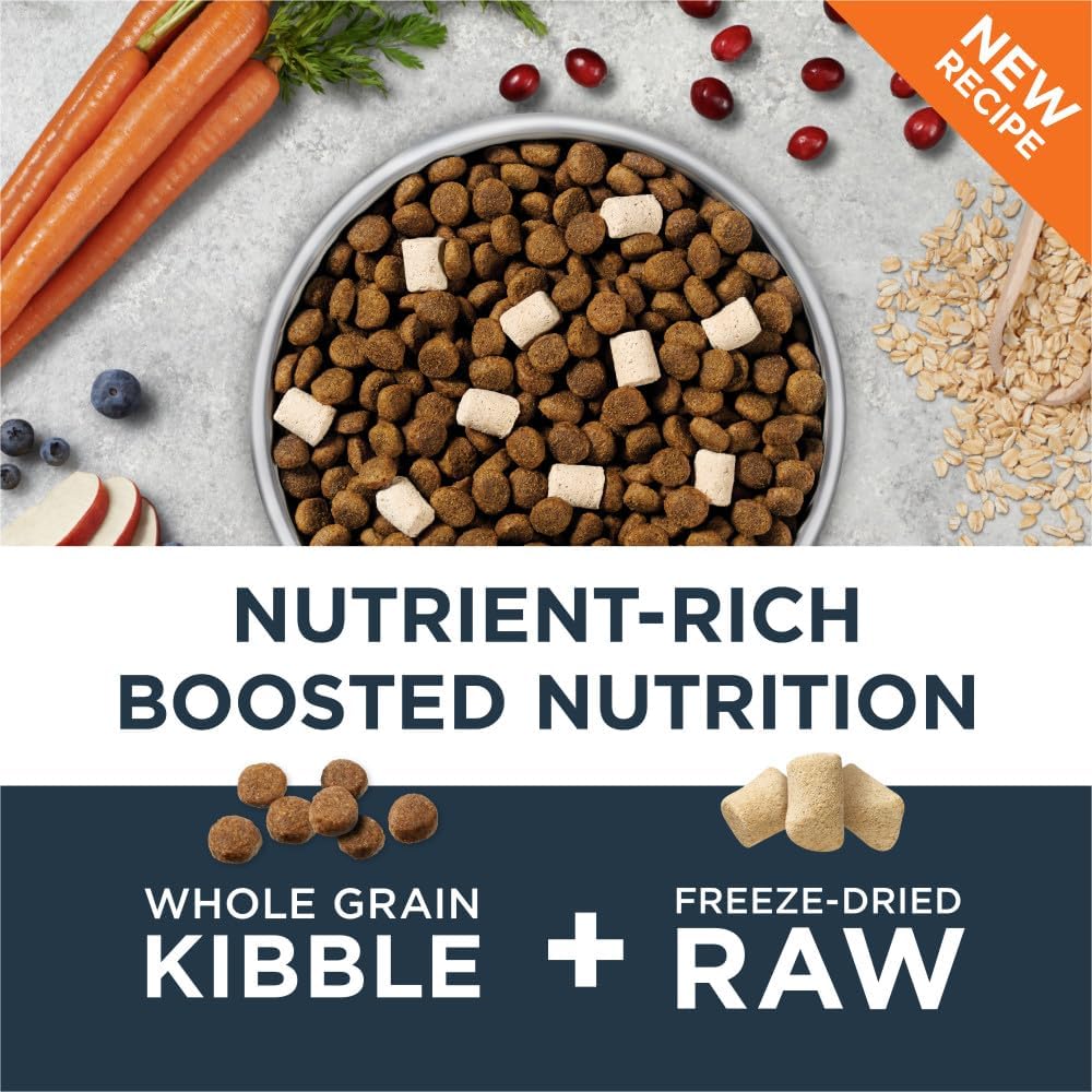 Instinct Raw Boost Chicken and Whole Grain Kibble and Freeze-Dried Raw Puppy Dog Food - 3.5 Lbs - Case of 5