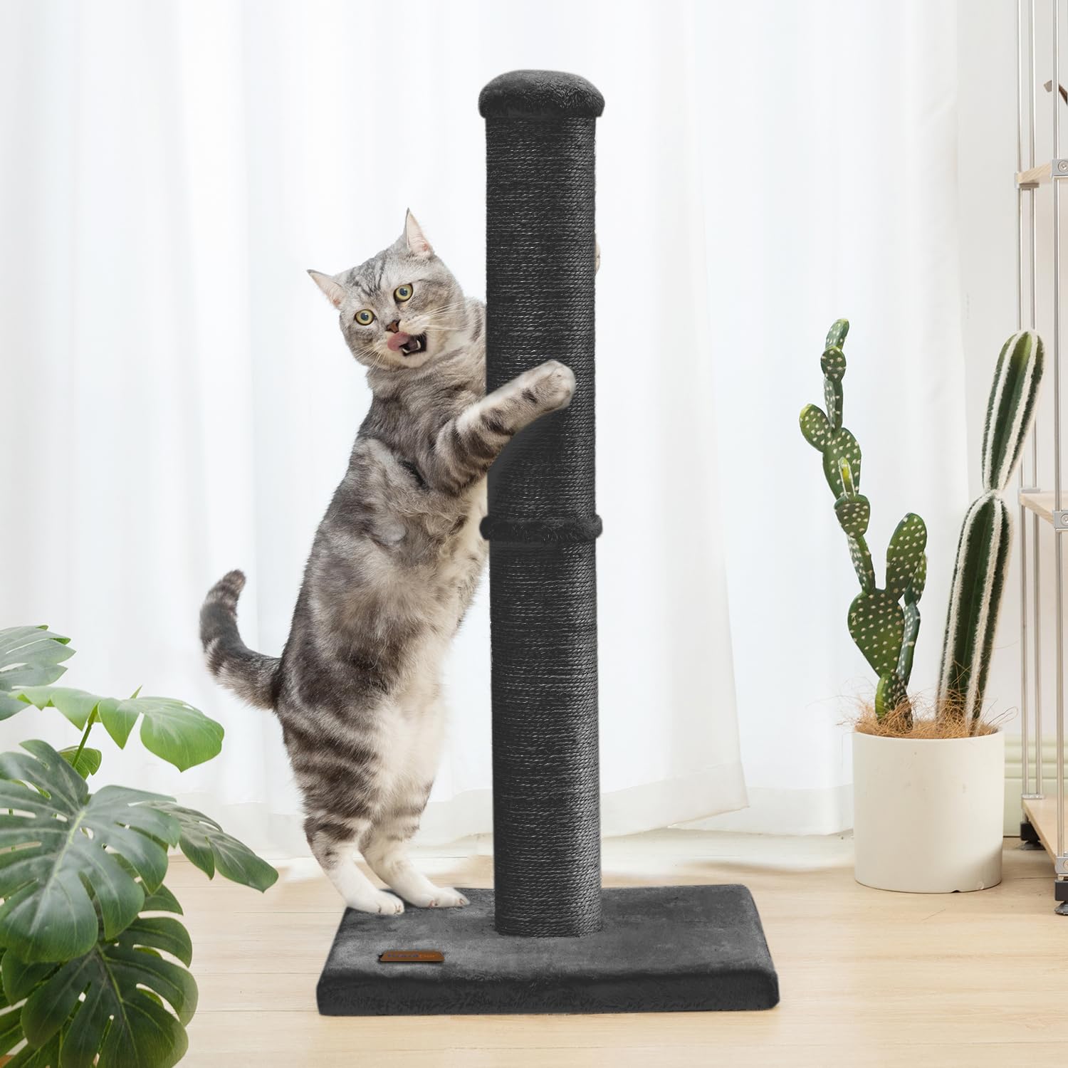 Midwest Nuvo Salvadore Scratching Post and Cat Furniture Tower - Black  