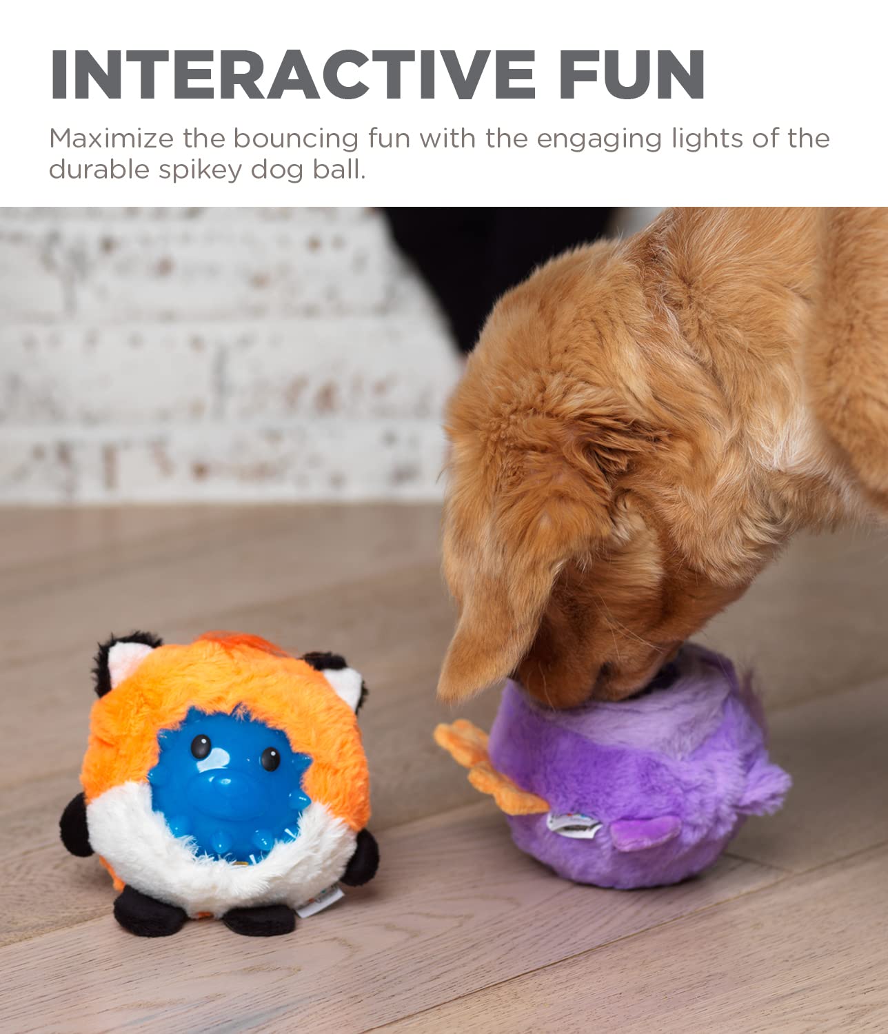 Outward Hound Unbelieva-Ball Fox Interactive Plush Dog Toy with Removable Light up Spike Ball  