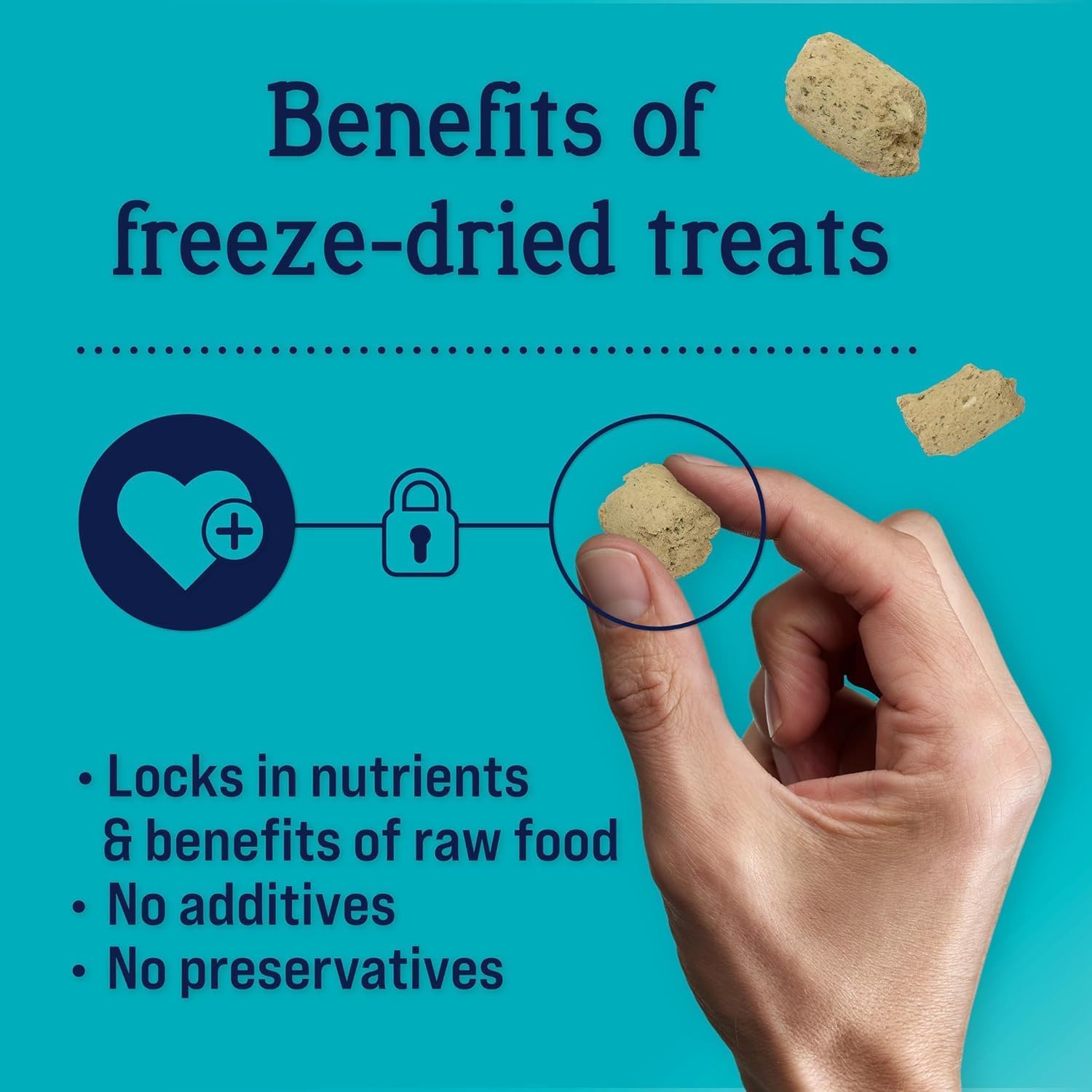 Stewart Puff Tops Bacon and Chicken Recipe Freeze-Dried Dog Food Topper