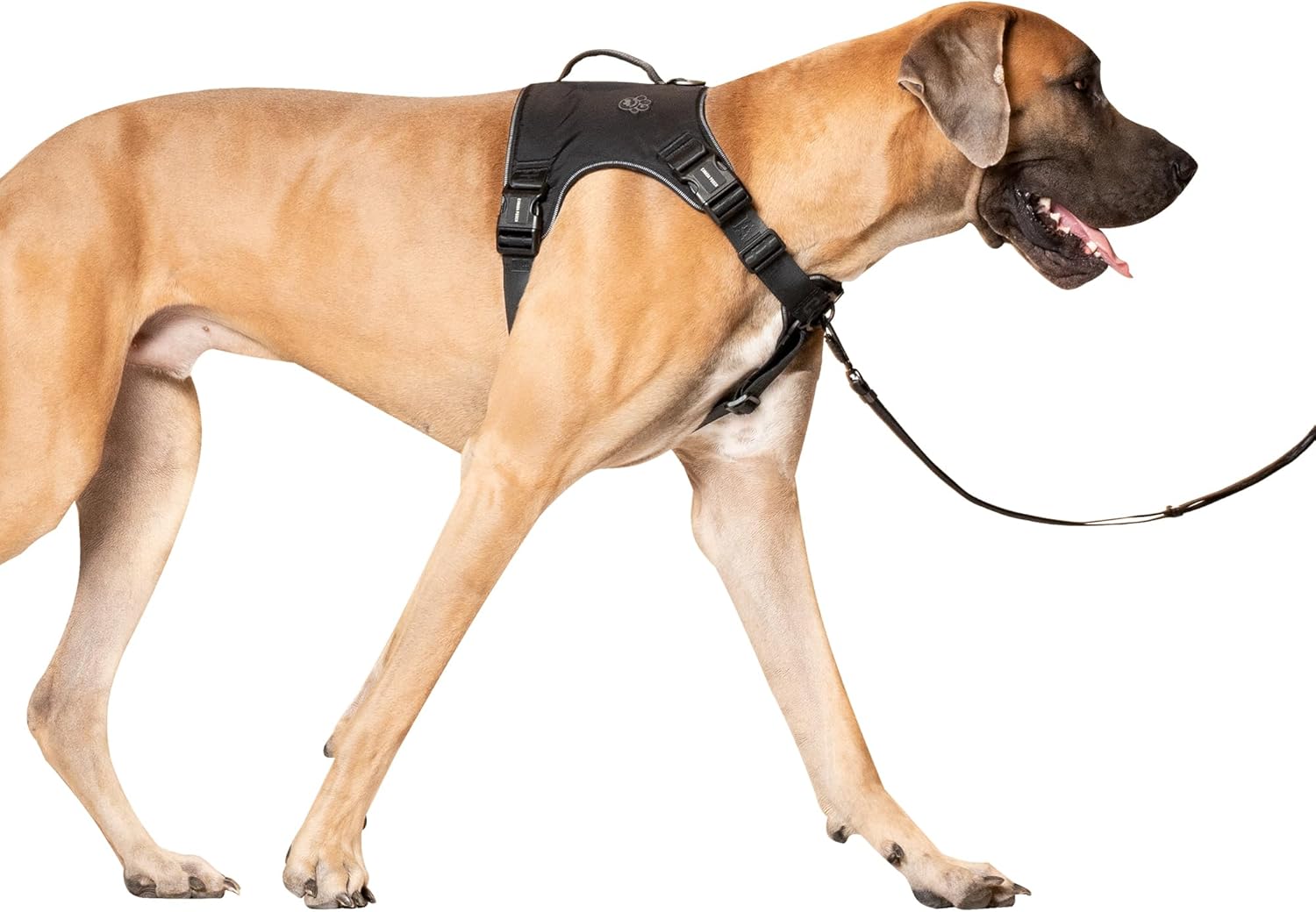 Canada Pooch Core Complete Control Dog Harness and Leash - Black