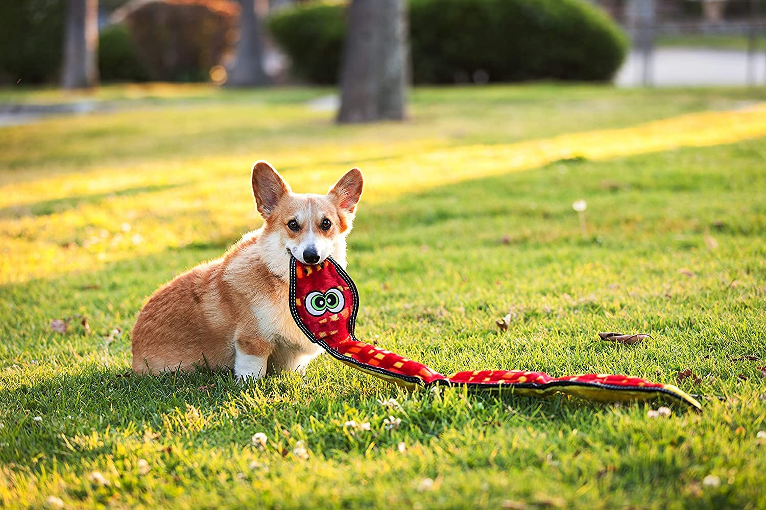 Outward Hound Tough Seamz No-Stuffing Snake Crinkle and Squeak Soft Dog Toy - Red - Large  