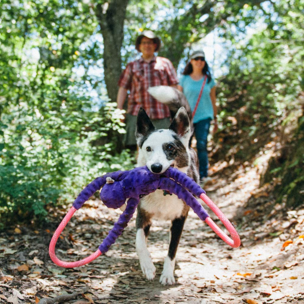 Zippy Paws RopeTugz Monkey Rope and Squeaky Plush Dog Toy - Purple - Large  