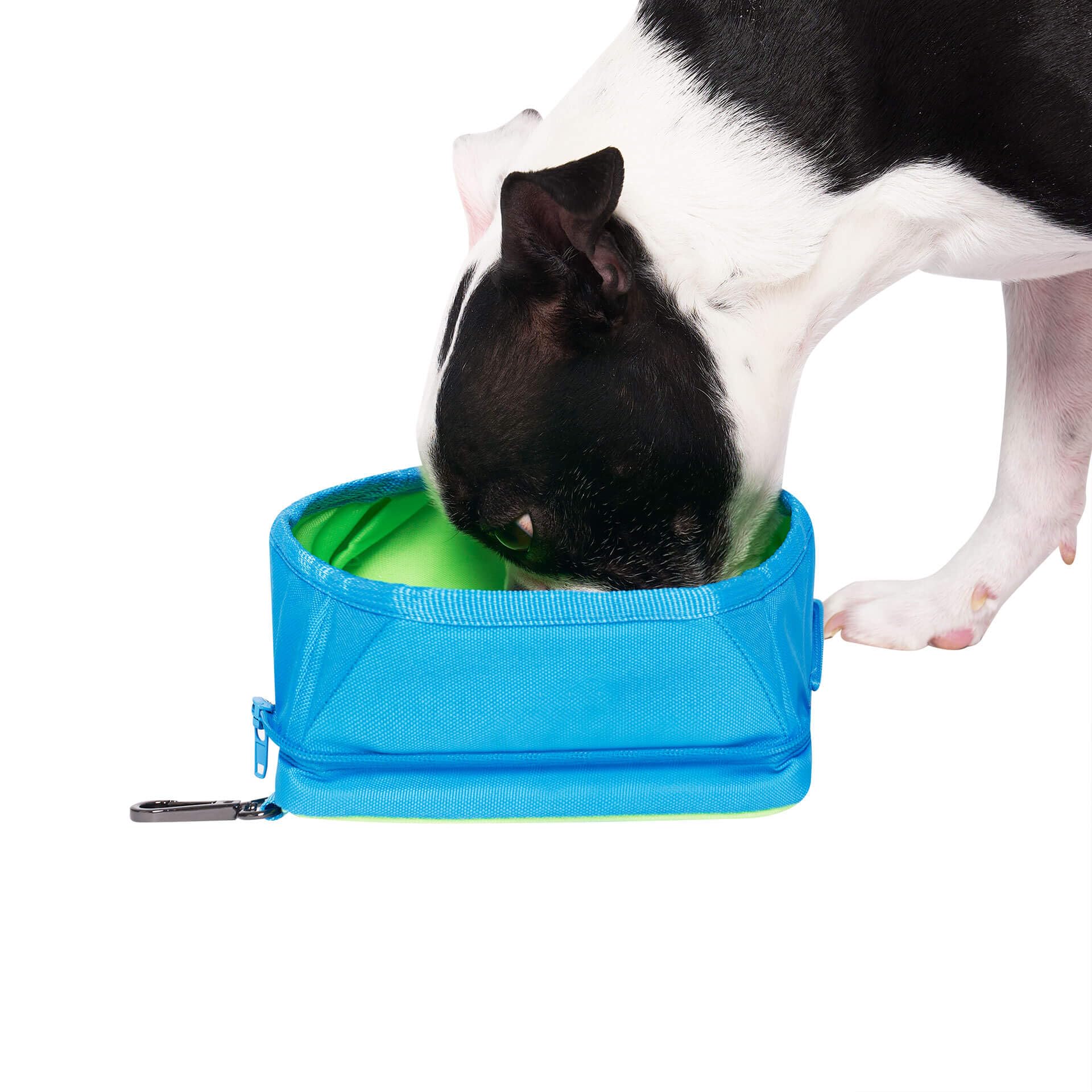 Canada Pooch Portable and Collapsible Freeze and Go Waterproof Pet Bowl