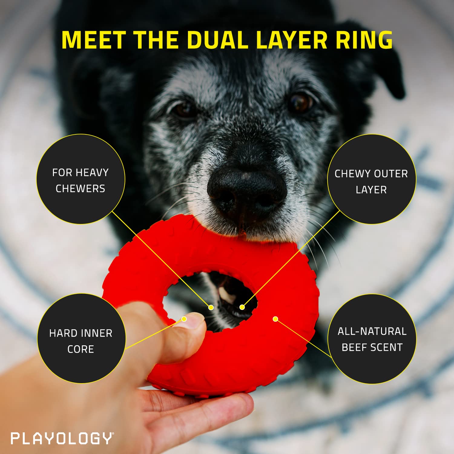 Playology Beef Scented Dual Layered Ring Rubber Dog Toy with Encapsiscent Techology - Large  