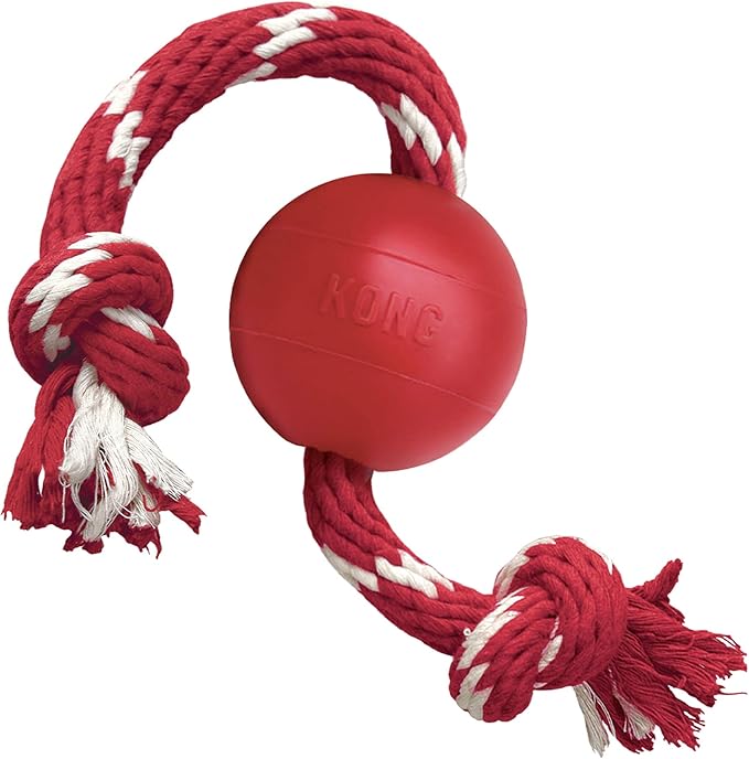 Kong Signature Rope Dog Toy with Ball  