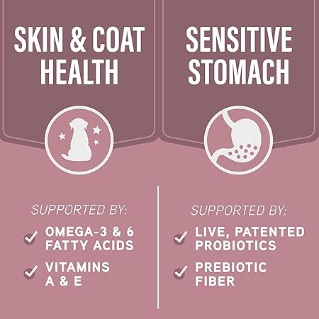 Natural Balance Specialized Nutrition Sensitive Skin and Stomach Salmon and Oatmeal Dry Dog Food - 3.5 Lbs