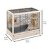 Ferplast Hampsterville Hampster Cage with Wooden Base and Accessories - Tan - 22.7" X 12.2" X 2.6" Inches  