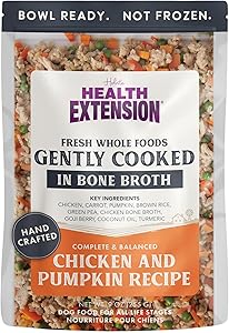 Health Extension Gently Cooked Chicken and Pumpkin in Bone Broth Wet Dog Food Pouch 9 Oz - 10 Pack