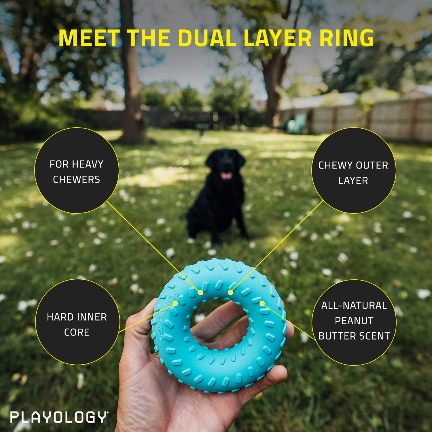 Playology Peanut Butter Scented Dual Layered Ring Rubber Dog Toy with Encapsiscent Technology - Large  