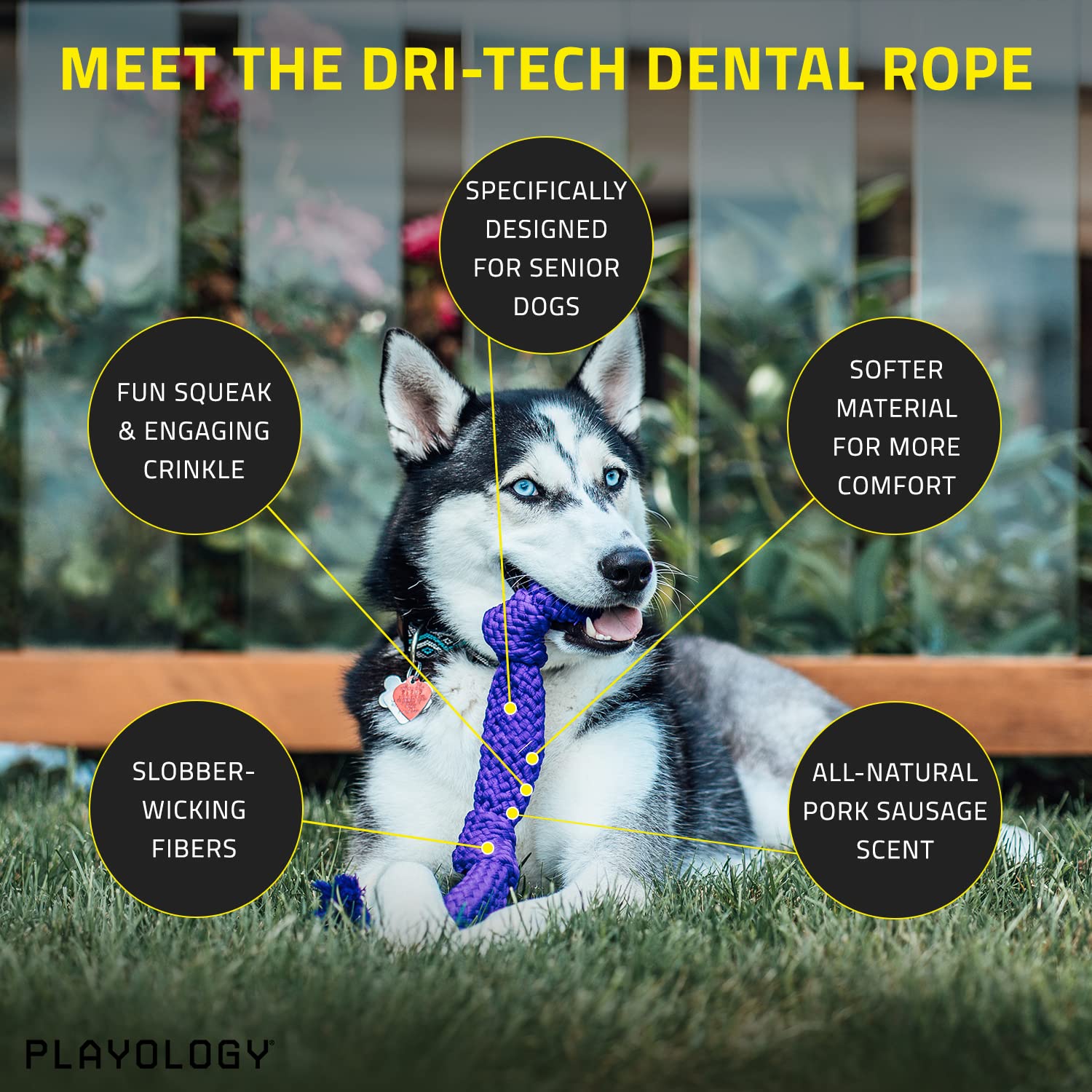 Playology Pork Scented Dri-Tech Dental Rope Dog Toy with Encapsiscent Technology - Medium  