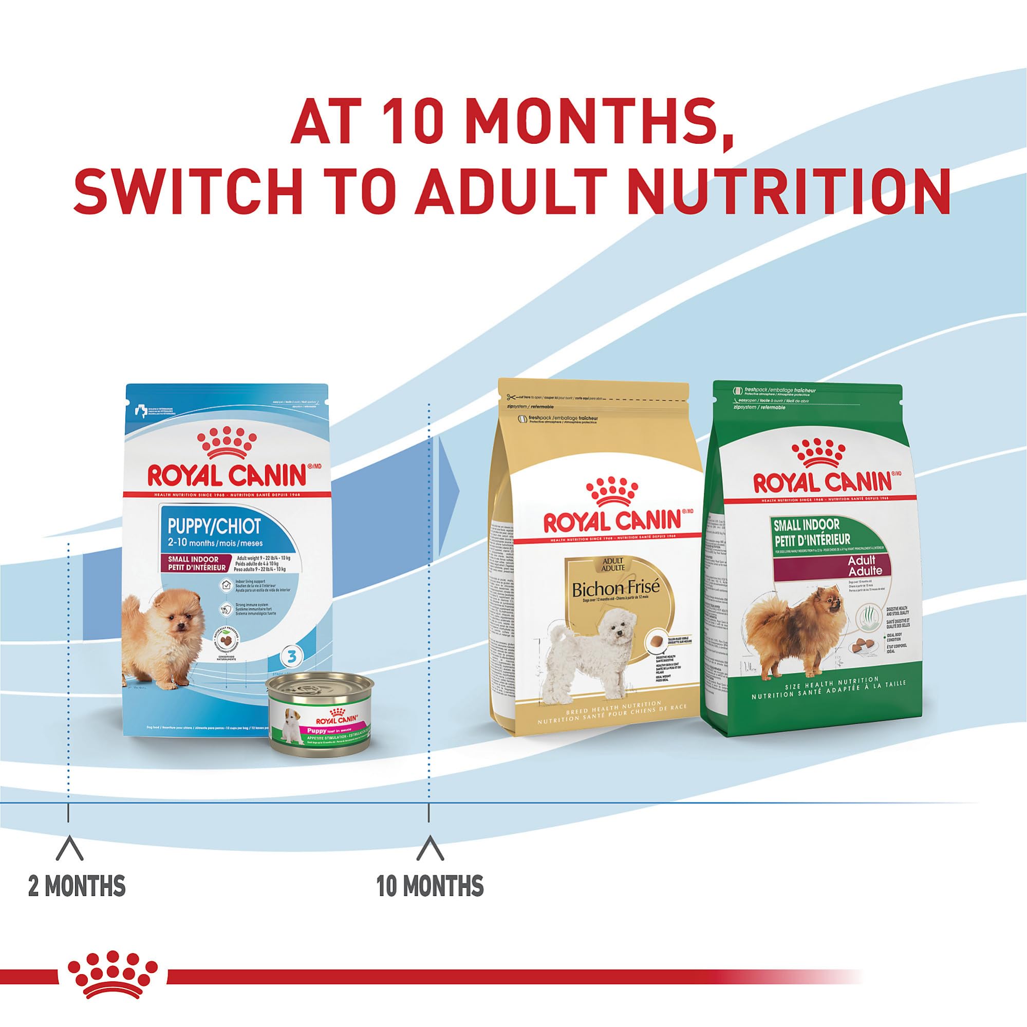 Royal Canin Size Health Nutrition Indoor Small-Breed Puppy Dry Dog Food - 2.5 Lbs  