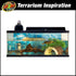 Zoo Med Laboratories ReptiHabitat Turtle Tank and Starter Kit - 20 Gallon  