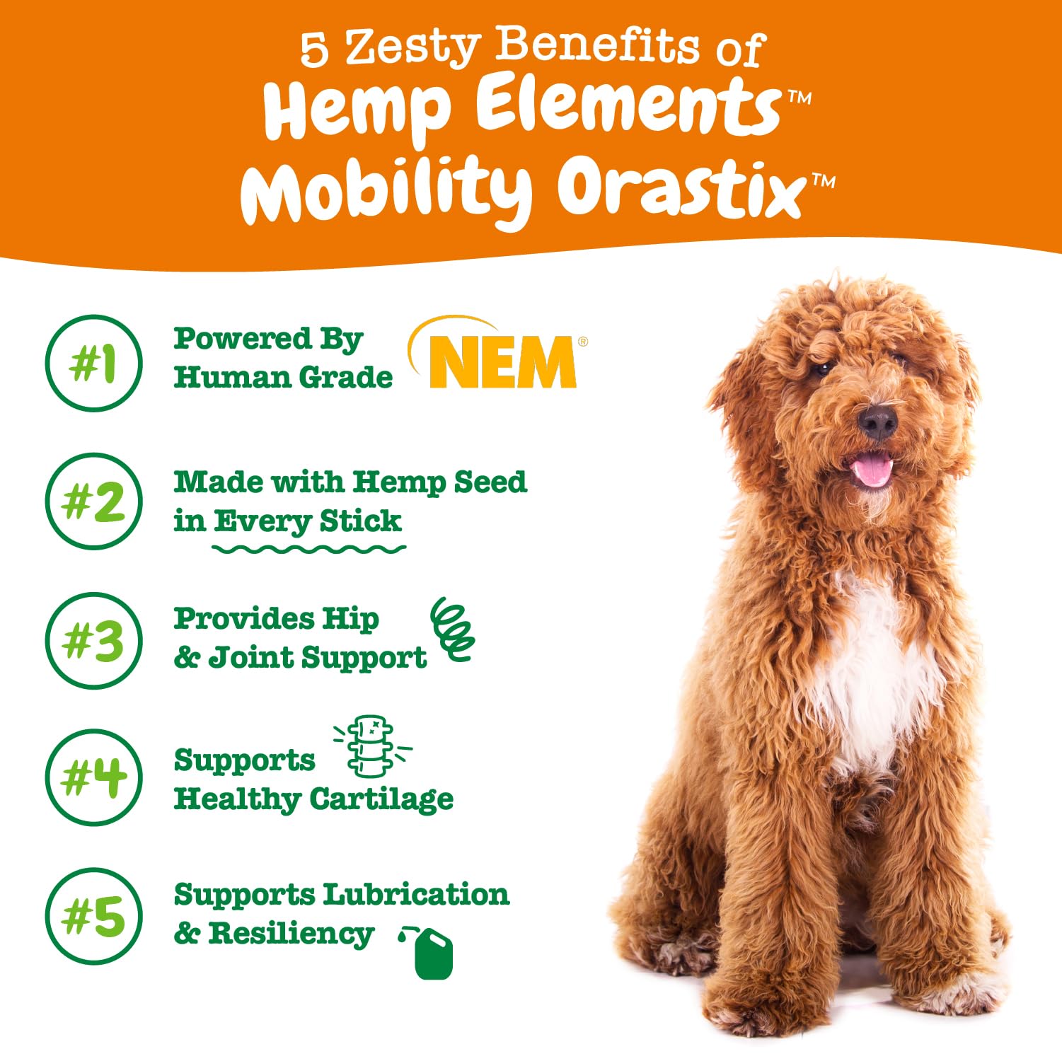 Zesty Paws Hemp Elements Mobility Hip and Joint OraStix Peppermint Flavor Dental Dog Treats - 12 Oz  