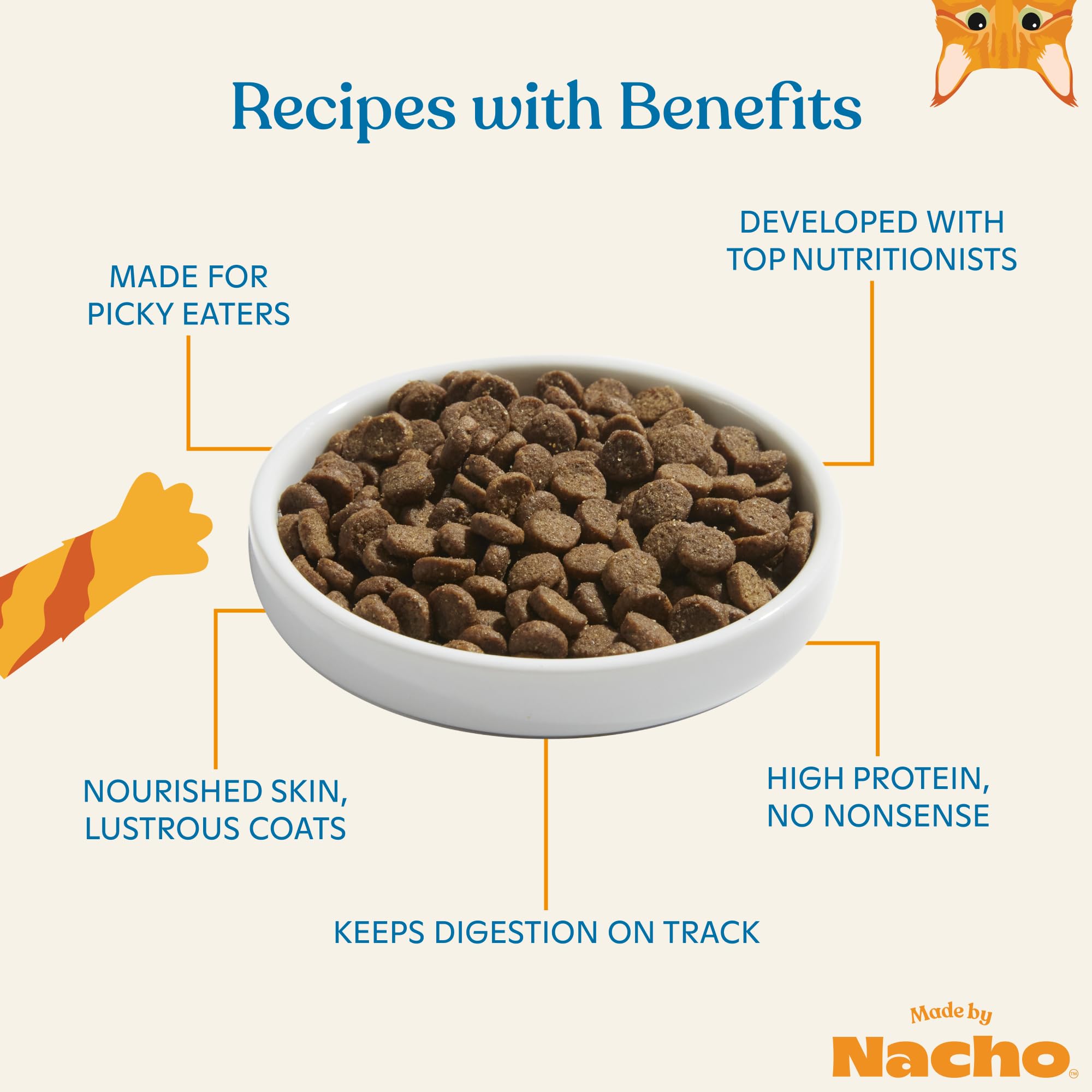 Made by Nacho Digestive Support Turkey and Pumpkin Dry Cat Food - 2 Lbs  