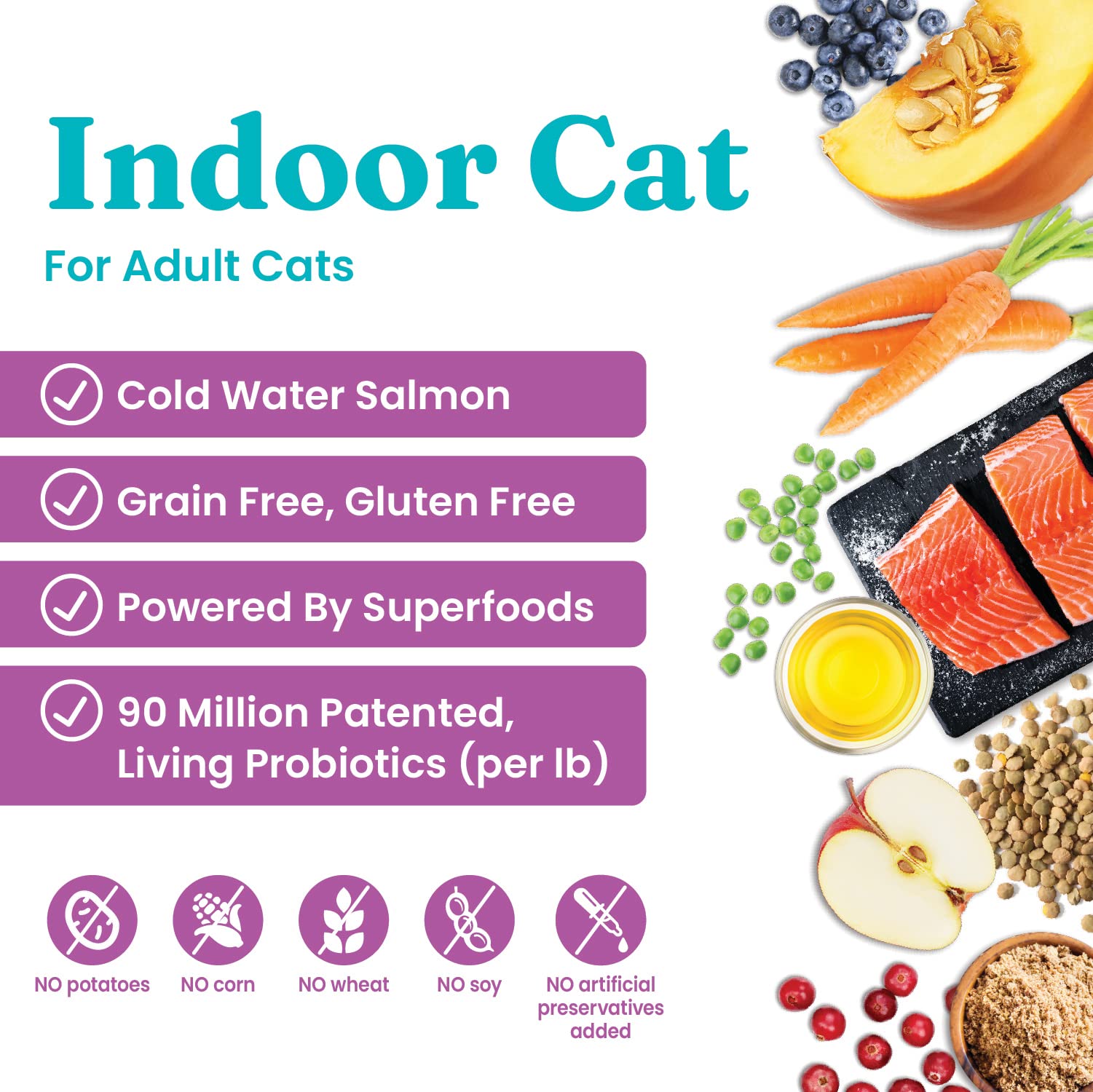 Solid Gold Let's Stay In Grain-Free Salmon Lentil and Apple Indoor Dry Cat Food - 6 Lbs  