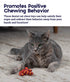 Petstages Plaque-Away Pretzel Dental Flossing and Plush Catnip Cat Toy  