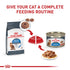 Royal Canin Feline Health Nutrition Weight Care Thin Slices in Gravy Canned Cat Food - 3 Oz - Case of 12 - 4 Pack  