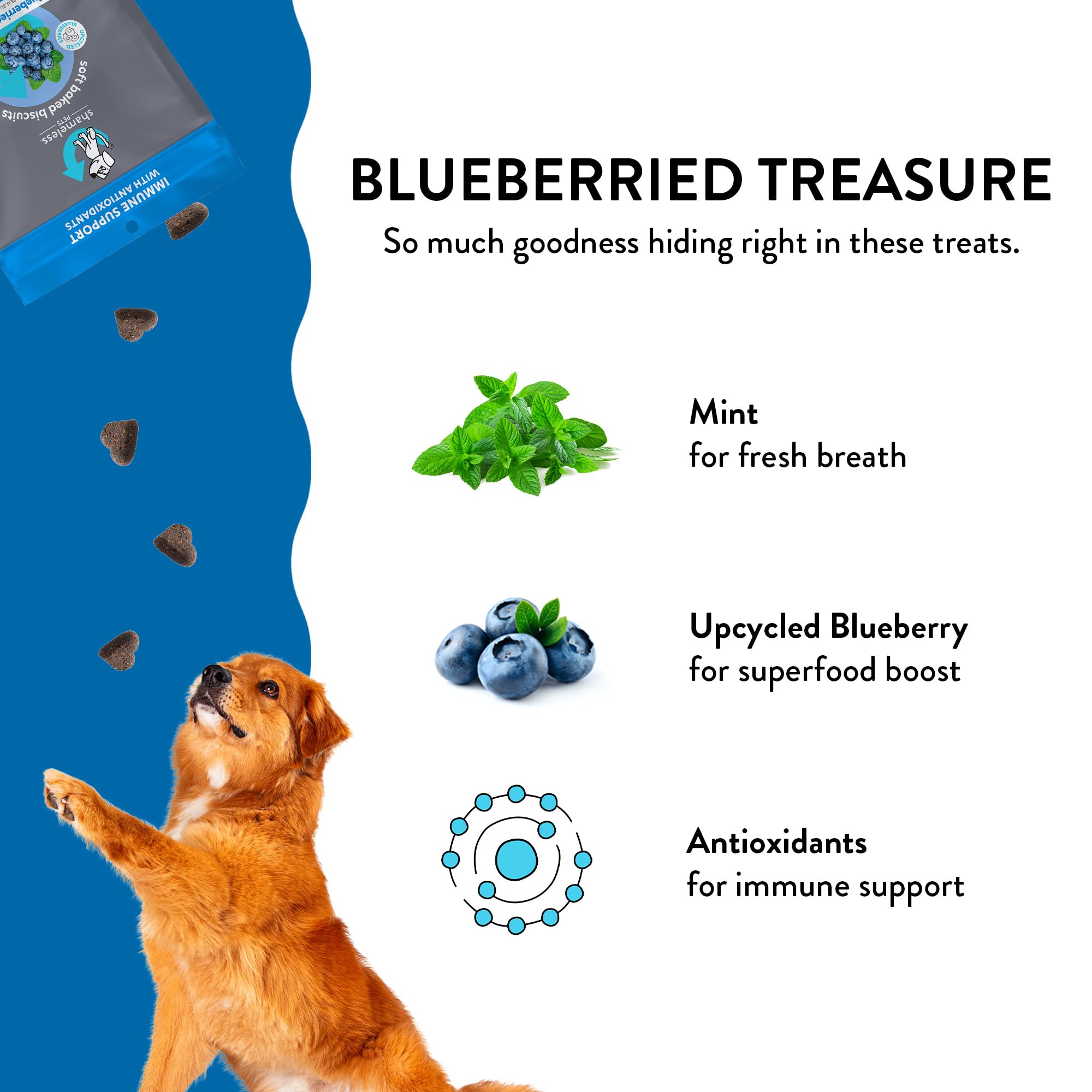 Shameless Pets Blueberried Treasure Blueberry and Mint Soft Baked and Chewy Dog Biscuits Treats - 6 Oz - Case of 6  