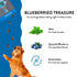 Shameless Pets Blueberried Treasure Blueberry and Mint Soft Baked and Chewy Dog Biscuits Treats - 6 Oz - Case of 6  