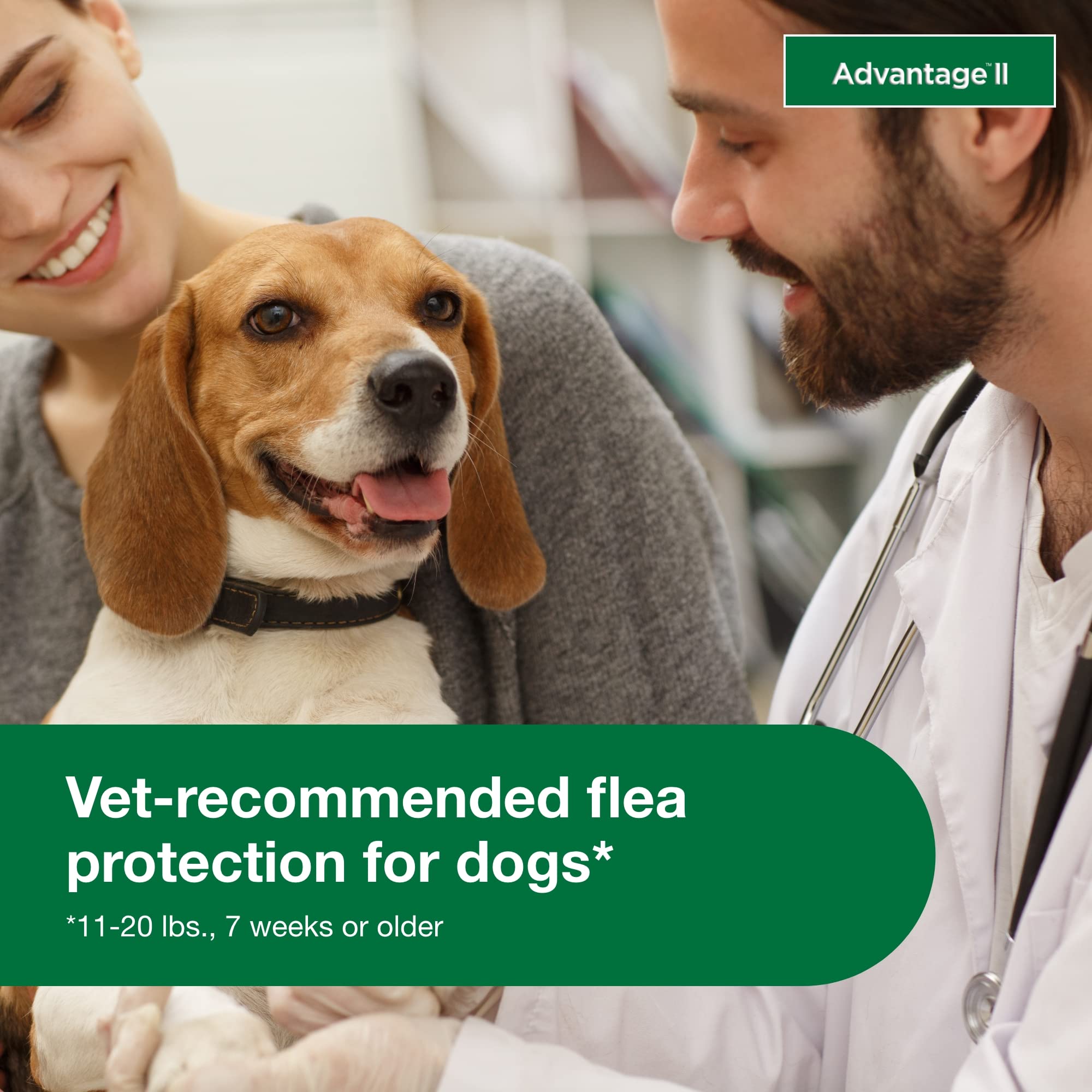 Elanco Advantage II Medium Dog 6-Month Dose Flea and Tick Spot-on Treatment - 11-20 Lbs - Teal -  6 Pack