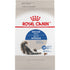 Royal Canin Feline Health Nutrition Indoor Adult Dry Cat Food - 3 Lbs  