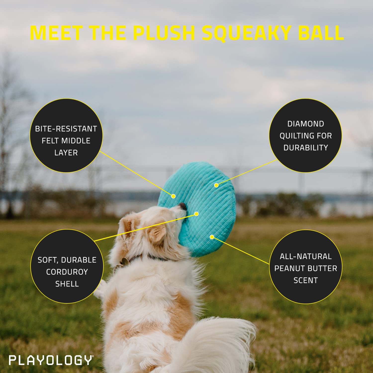 Playology Peanut Butter Scented Squeaky Ball Plush Dog Toy with Encapsiscent Technology - Medium  