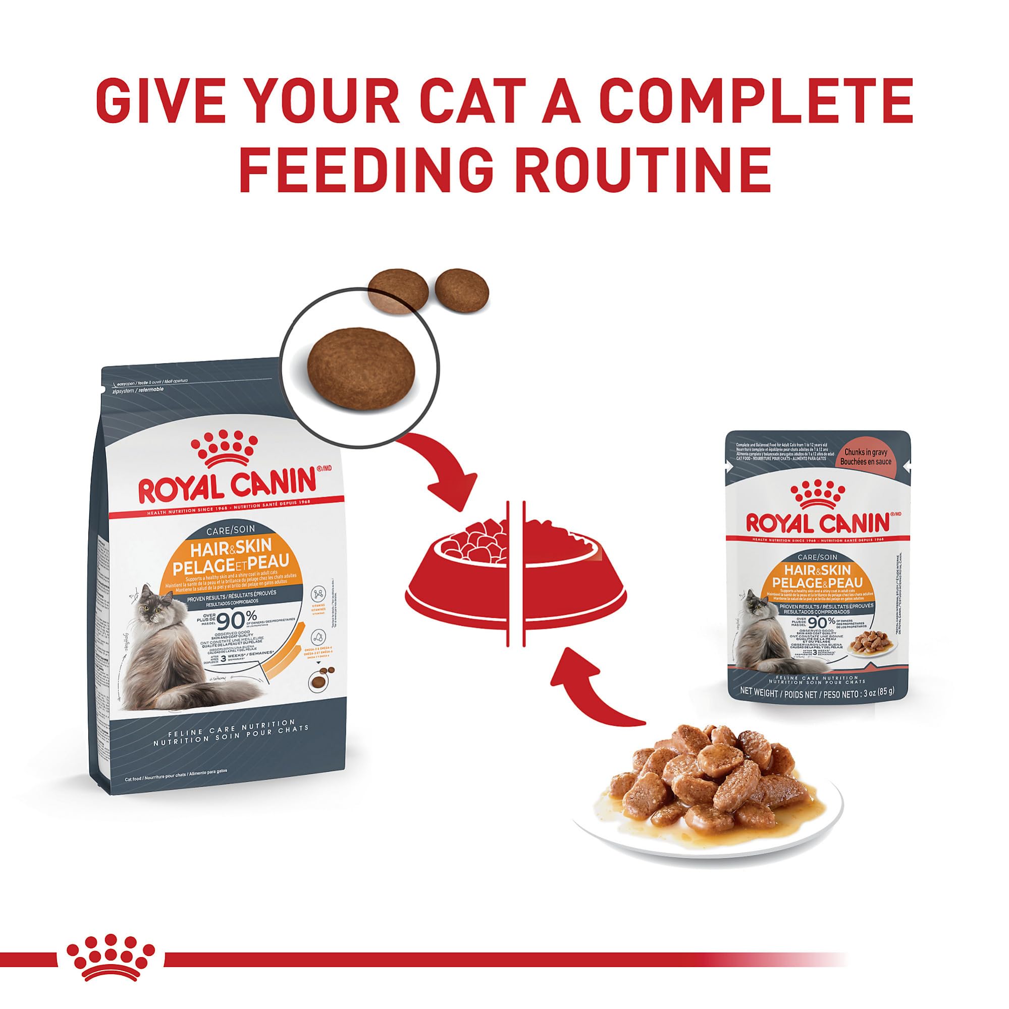 Royal Canin Feline Care Nutrition Hair and Skin Support Beauty Chunks in Gravy Wet Cat Food Pouch - 3 Oz - Case of 12  