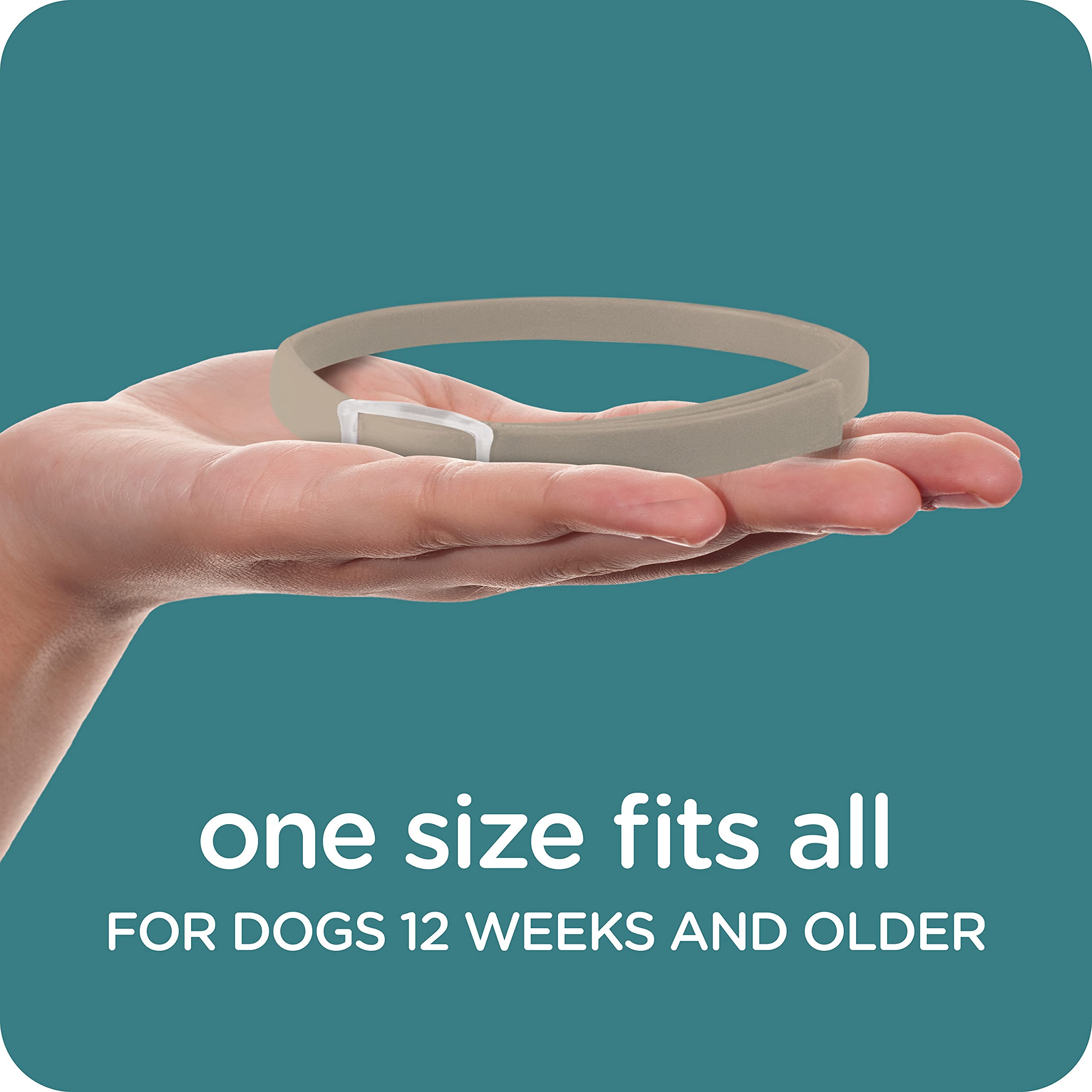 Sergeant's Dual-Action Flea and Tick Collar II for Large Dogs - Up to 23" Inch Neck Girths  