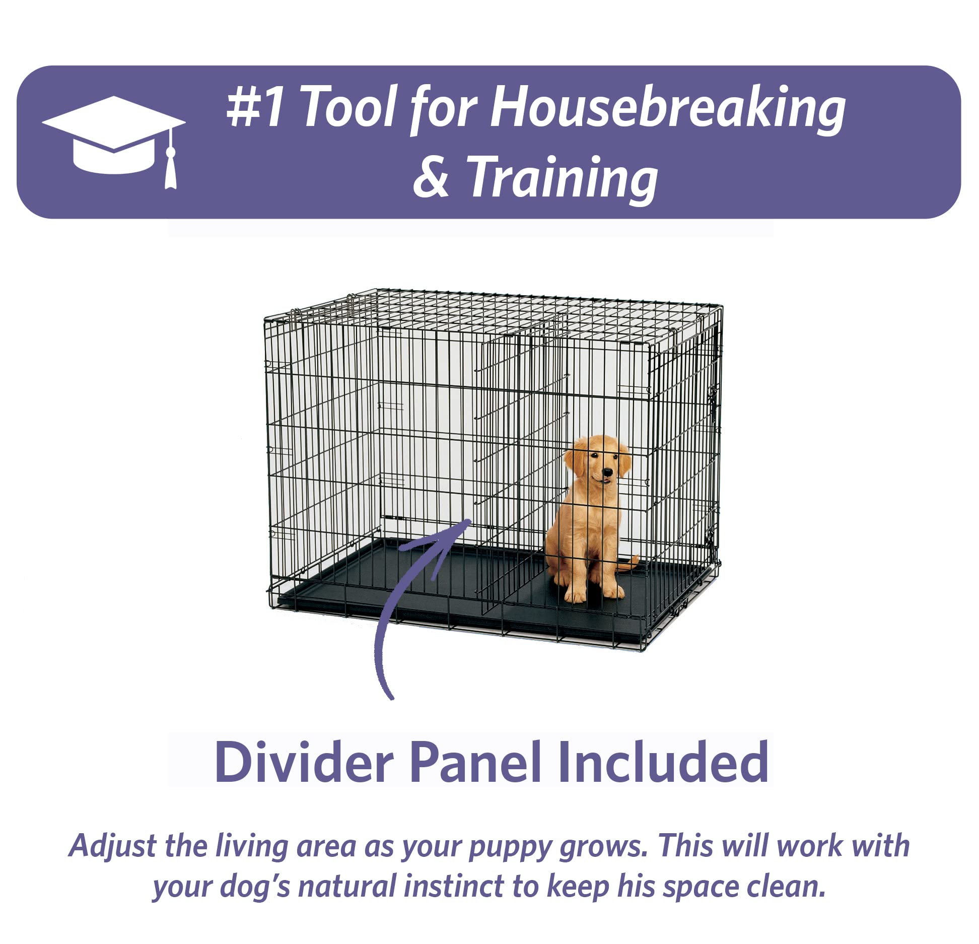 Midwest I-Crate Single Door Metal Folding Dog Crate with Divider Panel - 42" X 28" X 30" Inches  