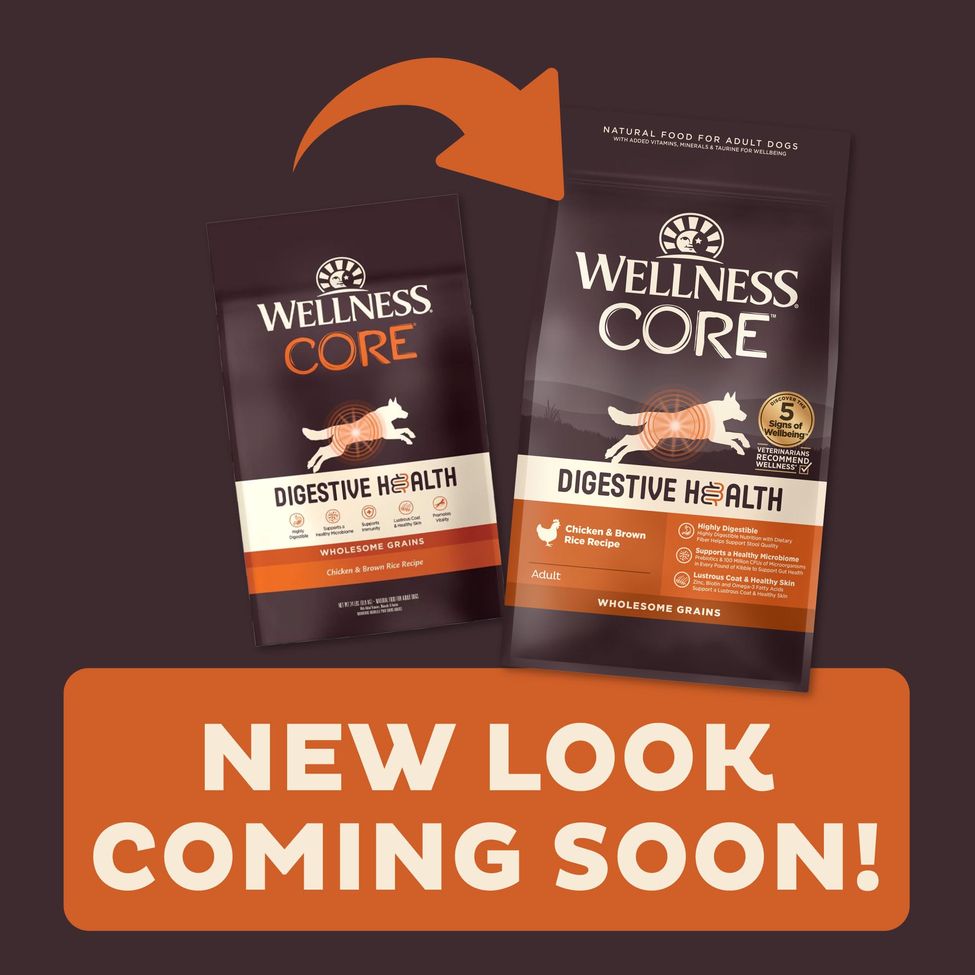 Wellness Core Digestive Health Chicken and Brown Rice with Wholeome Grains Puppy Formula Dry Dog Food - 24 Lbs  