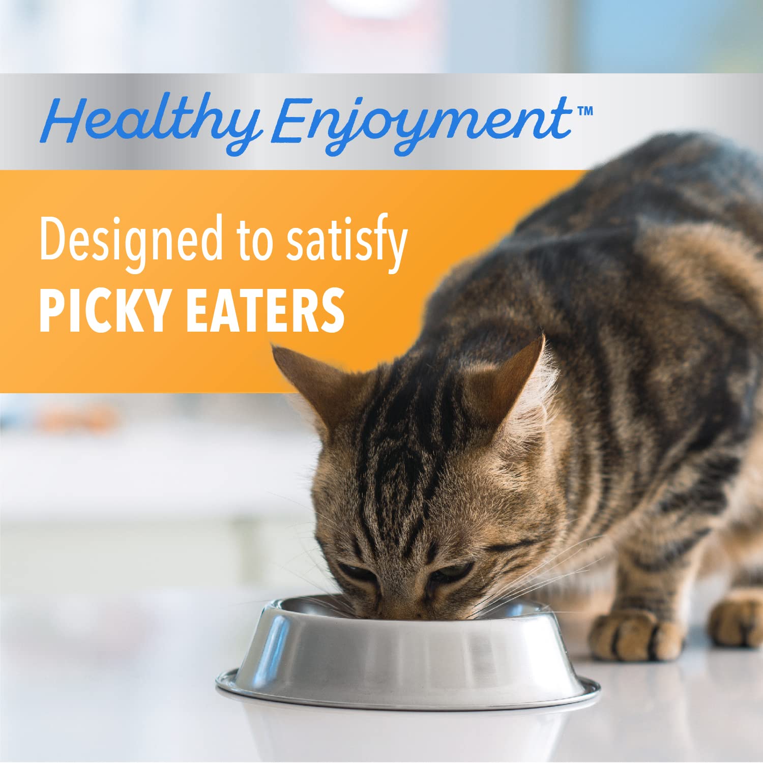 IAMS Healthy Enjoyment Chicken and Salmon Dry Cat Food - 6 Lbs  