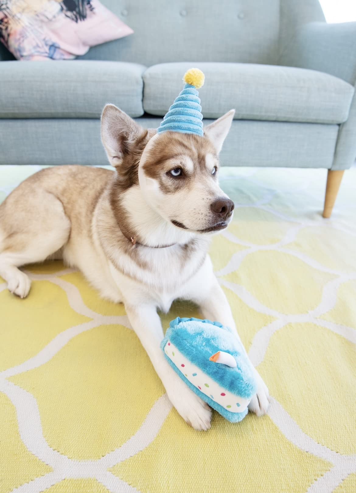 Zippy Paws Birthday Cake Squeak and Plush Dog Toy - Blue  