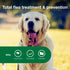 Elanco Advantage II Large Dog 6-Month Dose Flea and Tick Spot-on Treatment - 21-55 Lbs - Red - 6 Pack