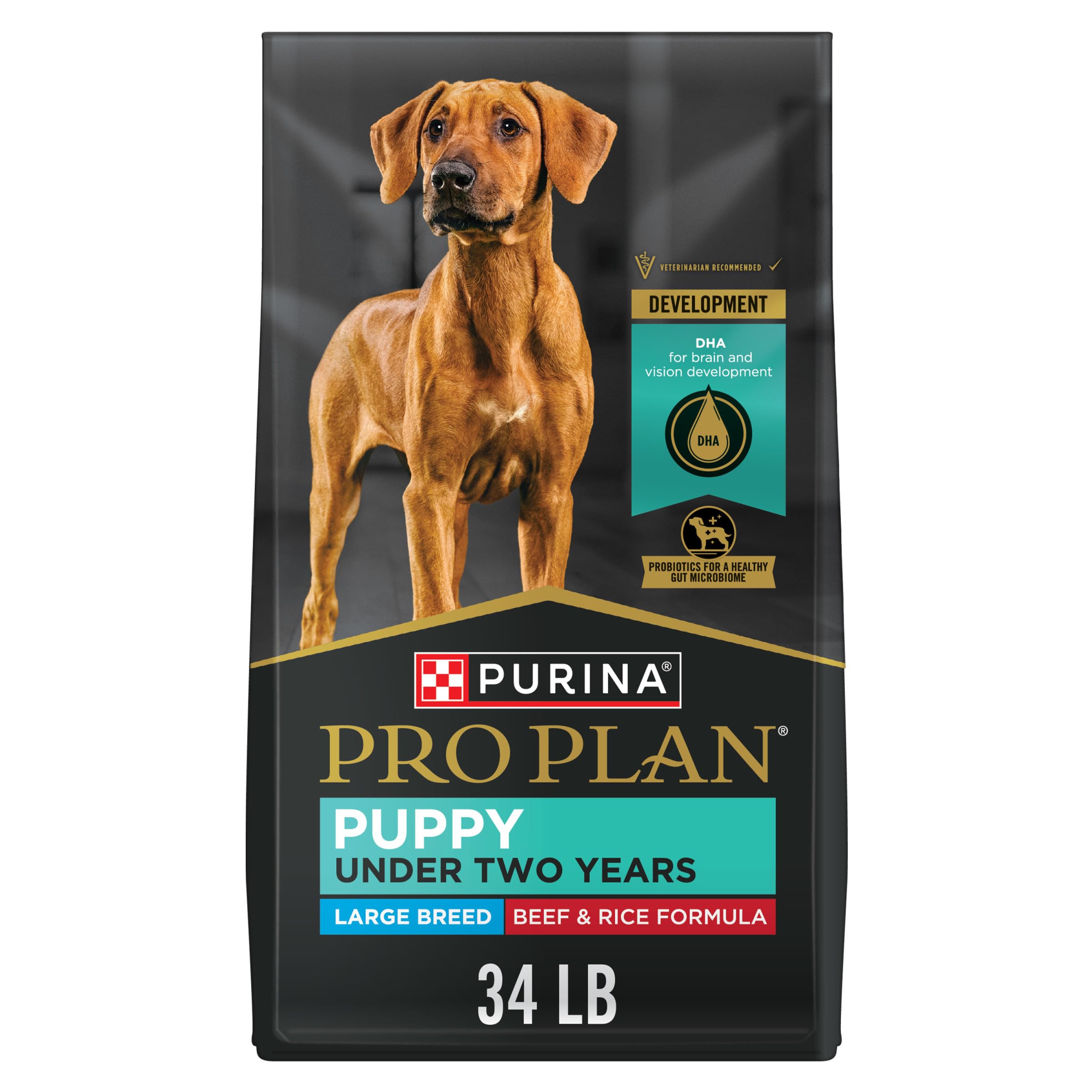 Purina Pro Plan Probiotic Beef and Rice Large-Breed Puppy Dry Dog Food - 34 Lbs  