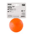 Outward Hound Planet Dog Orbee Tuff Squeak and Fetch Ball Dog Toy - Orange  