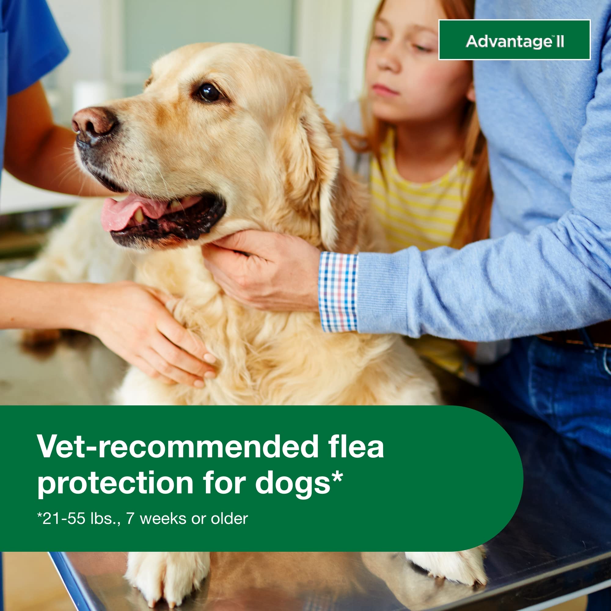 Elanco Advantage II Large Dog 6-Month Dose Flea and Tick Spot-on Treatment - 21-55 Lbs - Red - 6 Pack