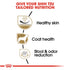 Royal Canin Breed Health Nutrition Shih Tzu Formula Adult Dry Dog Food - 2.5 Lbs  