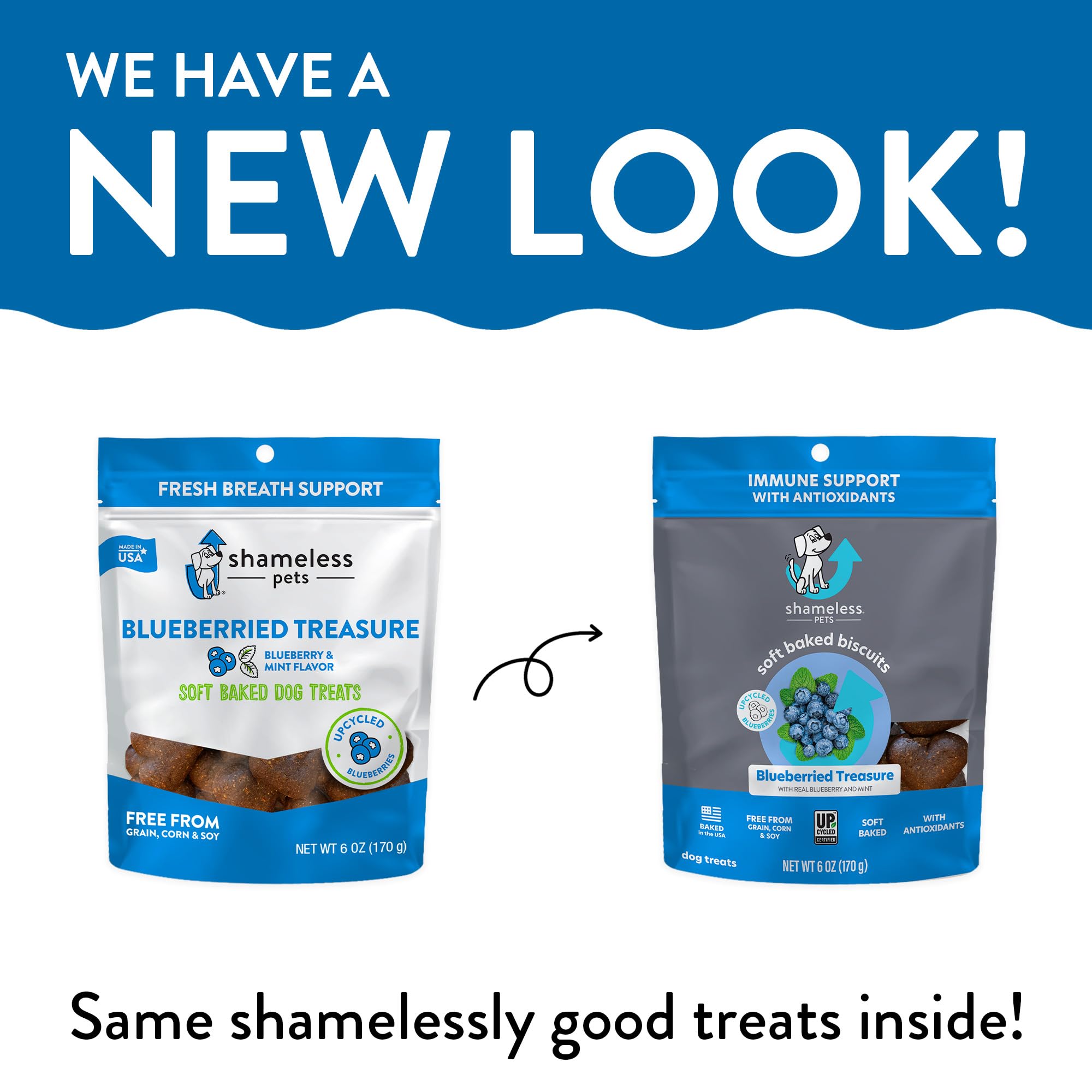 Shameless Pets Blueberried Treasure Blueberry and Mint Soft Baked and Chewy Dog Biscuits Treats - 6 Oz - Case of 6  